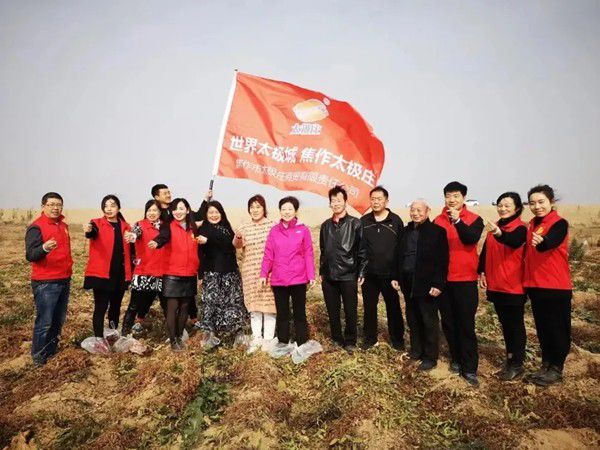 11月12日，眾人翹首以盼的太極莊山藥采挖活動在太極莊公司的溫縣·富硒鐵棍山藥標準化種植基地拉開帷幕